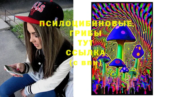 стафф Алексин